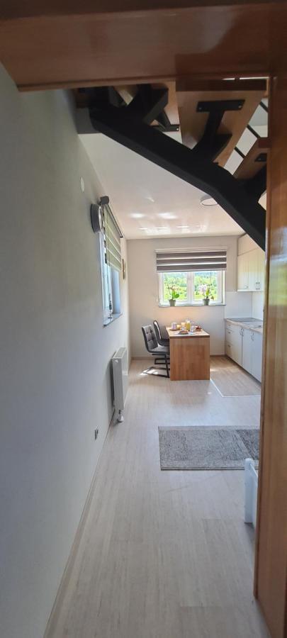 Apartmani Fenestra Tesla I Faust Otočac Exterior foto